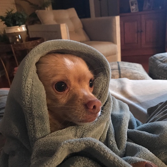 Meet your Posher, Jody - Picture 1 of 1